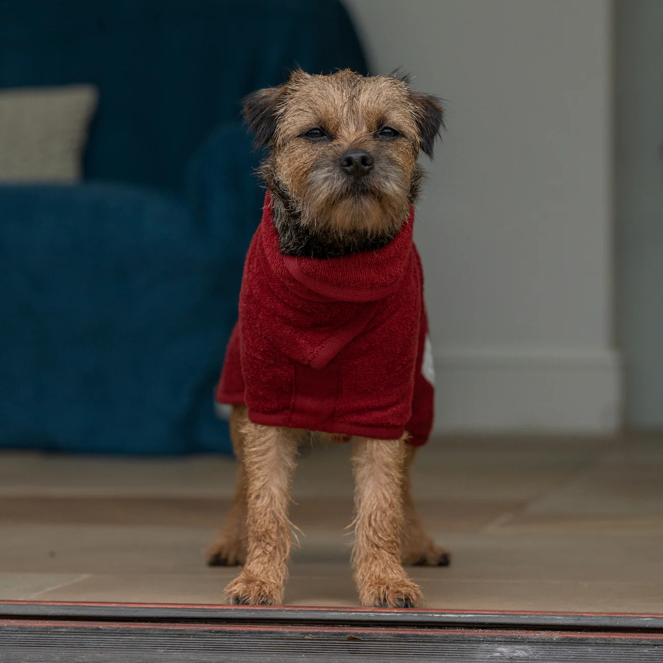 Dog drying coat Rosehip